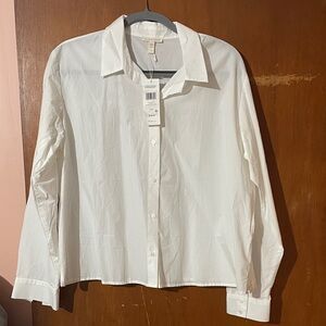 Eileen Fisher Washed Organic Cotton Poplin Classic Collar Short Shirt